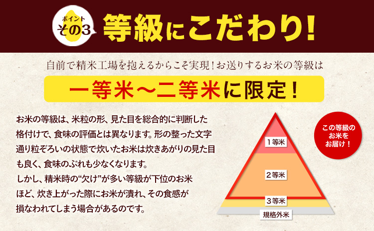 令和6年産 新米 特A受賞品種 無洗米 ひのひかり 無洗米 森のくまさん 計20kg 食べ比べ 厳選お楽しみセット 熊本県産 玉東町産含む 各5kg×2袋 計4袋 無洗米 精米 玉東町 森くま《11月