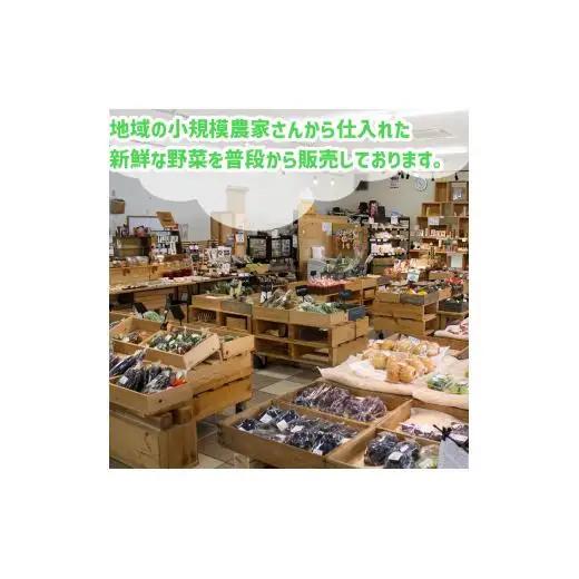 【早期予約】 野菜定期便 6ヶ月 7 ～ 10 品