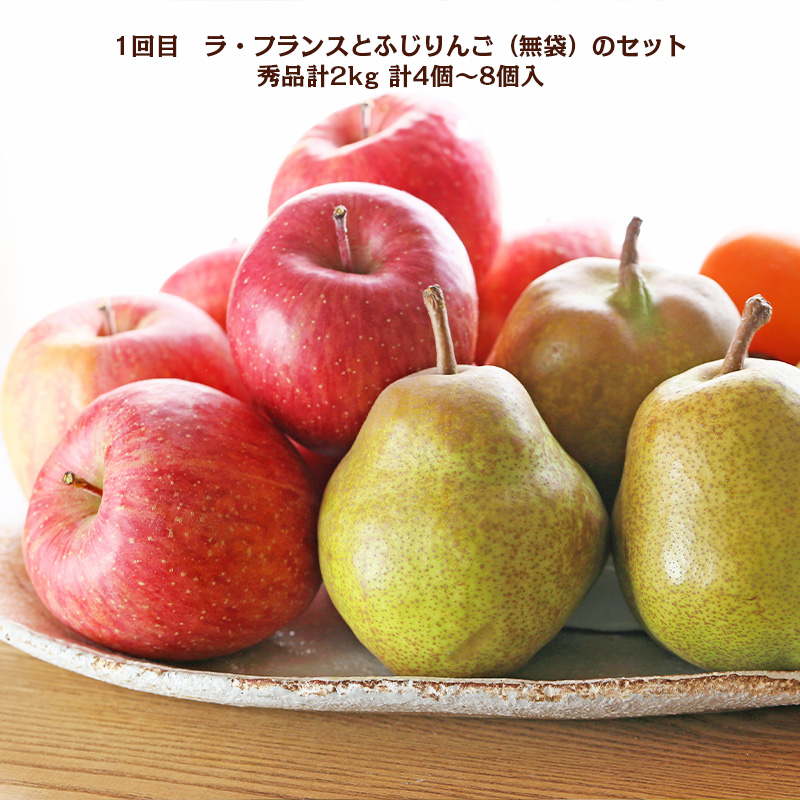 【定期便5回】冬から始まる 山形まるごと！人気の果物ベス