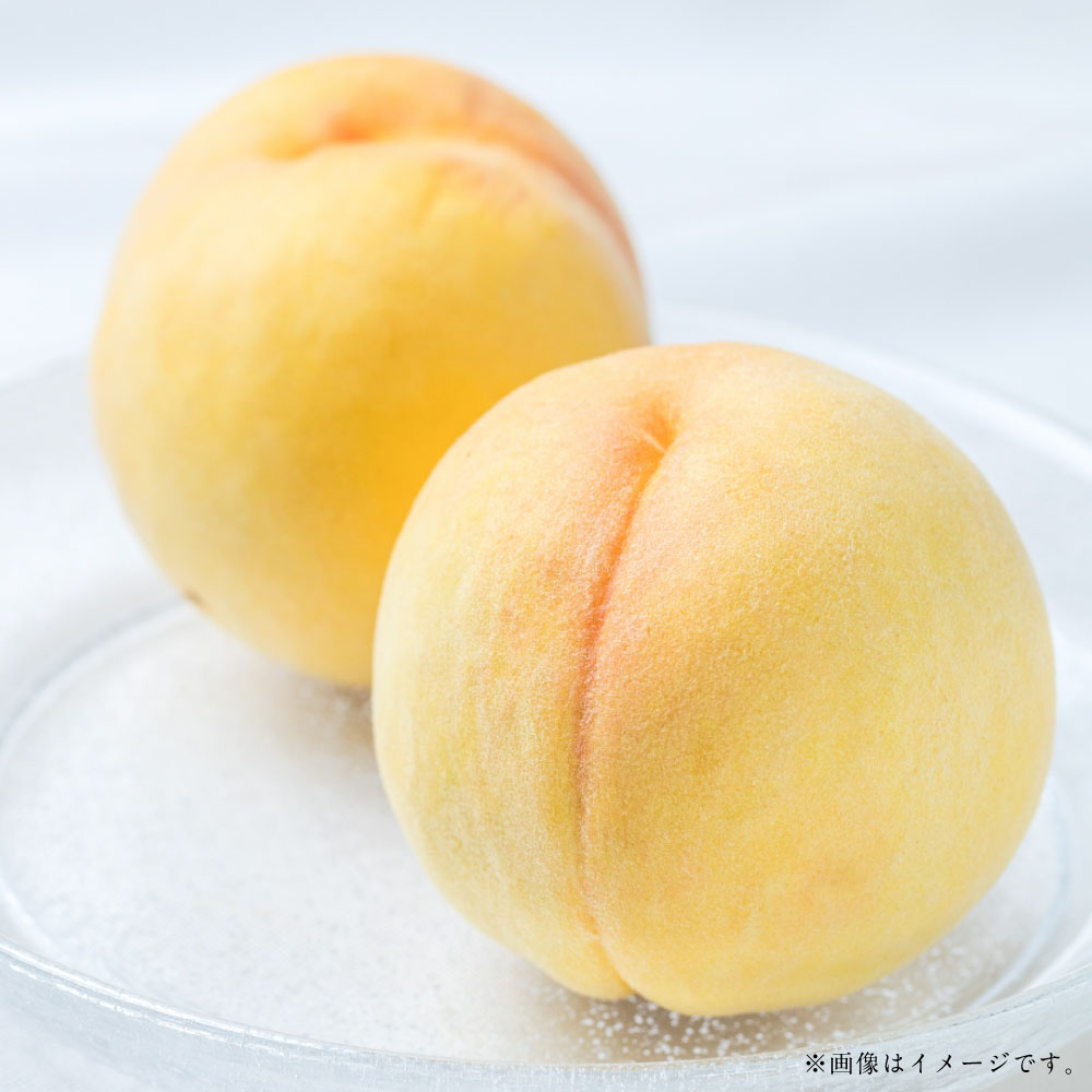 【ふるさと納税】＜選べる＞阪南市産 黄金桃 約2kg(6~8玉) or 約1kg(3~4玉) 桃 果物 フルーツ 大阪府 阪南市 送料無料【2025年8月上旬発送予定】