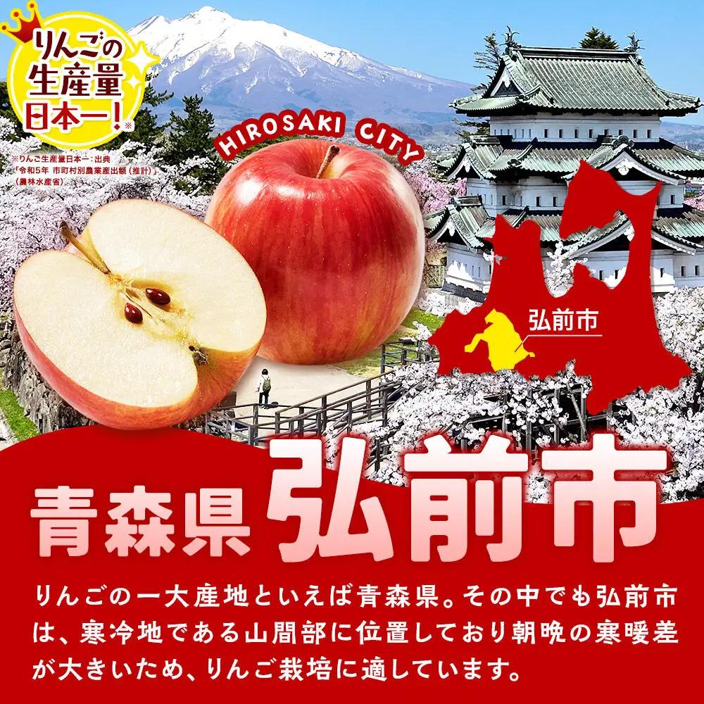 りんご サンふじ 贈答用 約3kg【1月発送】りんご