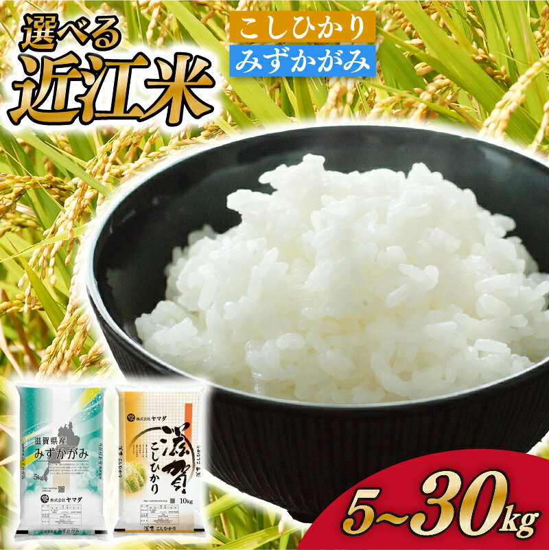 【ふるさと納税】 選べる近江米 こしひかり みずかがみ 5kg 10kg 20kg 30kg お米 コシヒカリ 選べる 精米 白米 米 国産 単一米 こめ コメ おこめ ご飯 ごはん 選べる 容量 近江米 お弁当 送料無料 滋賀県 愛荘町