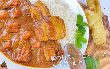 ～島豚の角煮が“ごろっ”～徳之島豚角煮カレー（中辛）200g×6食 ( カレー カリー レトルトカレー ご当地カレー 豚肉 徳之島 奄美 鹿児島 スパイシー レターパックライト 美農里館 )