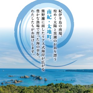 クジラ・スルメ入り！厳選干物 7種セット 創業80年！地元で愛される人気の干物 Cセット（アジ開き×2枚、サンマ開き×2枚、カマス開き×2枚、タチウオみりん干し100g、イラギみりん干し100g、鯨の