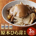 【ふるさと納税】大江町柳川産 原木ひら茸水煮200g×3缶（固形量）