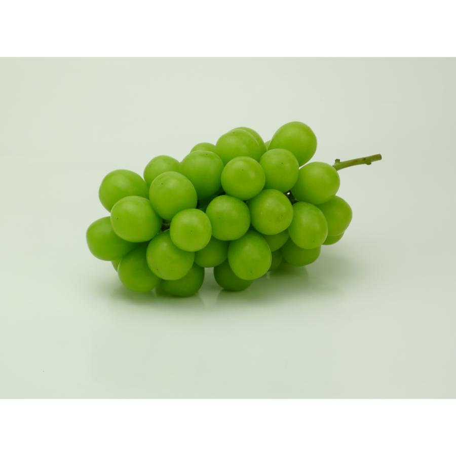 シャインマスカット/700g～特大旬のもぎたて特秀品