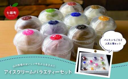 山川牧場こだわりのアイスクリームバラエティセット10個入（10種類） NAN008
