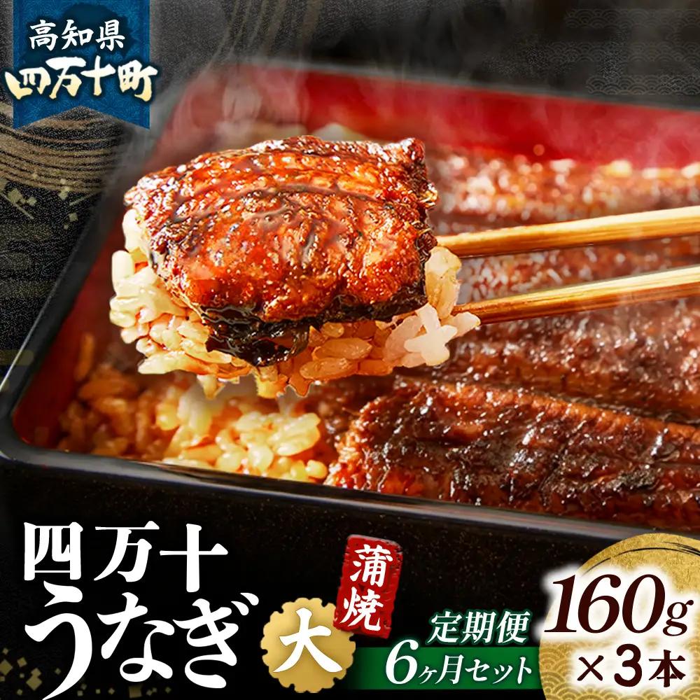 【鰻大好き定期便】四万十うなぎ 蒲焼き≪大≫ 6カ月定期 160gx3本／ うなぎ 国産鰻 土用の丑の日