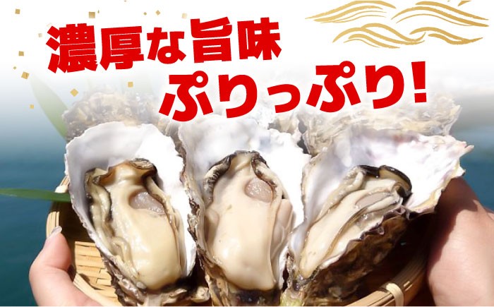 広島牡蠣 冷凍 殻付き カンカン焼き