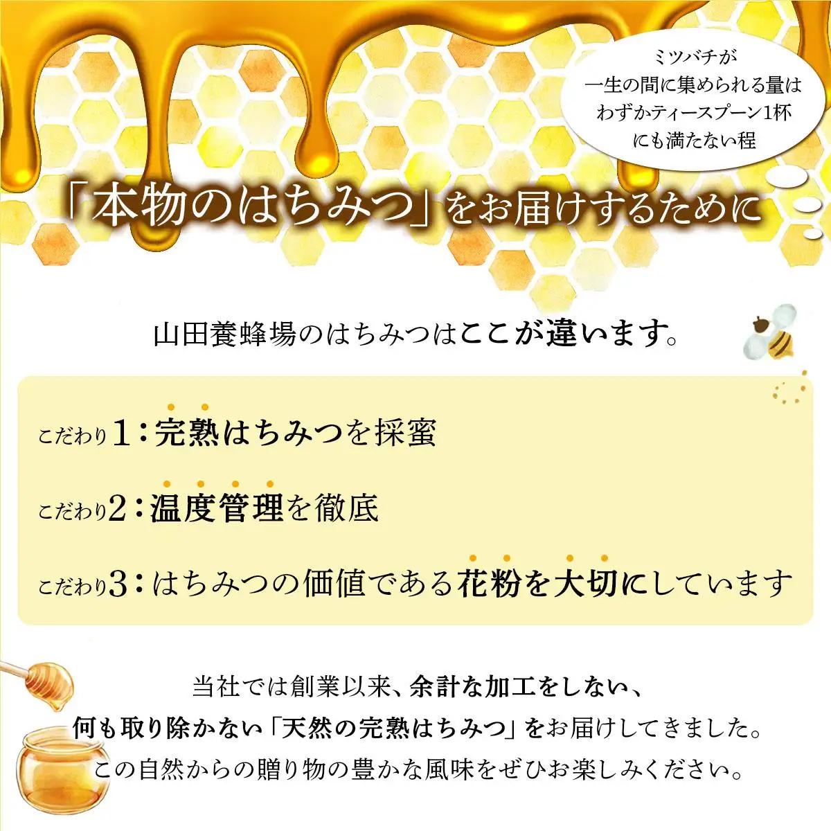 山田養蜂場　里山の百花蜂蜜300g（プラ容器入）×3本 （64253）【006-a066】