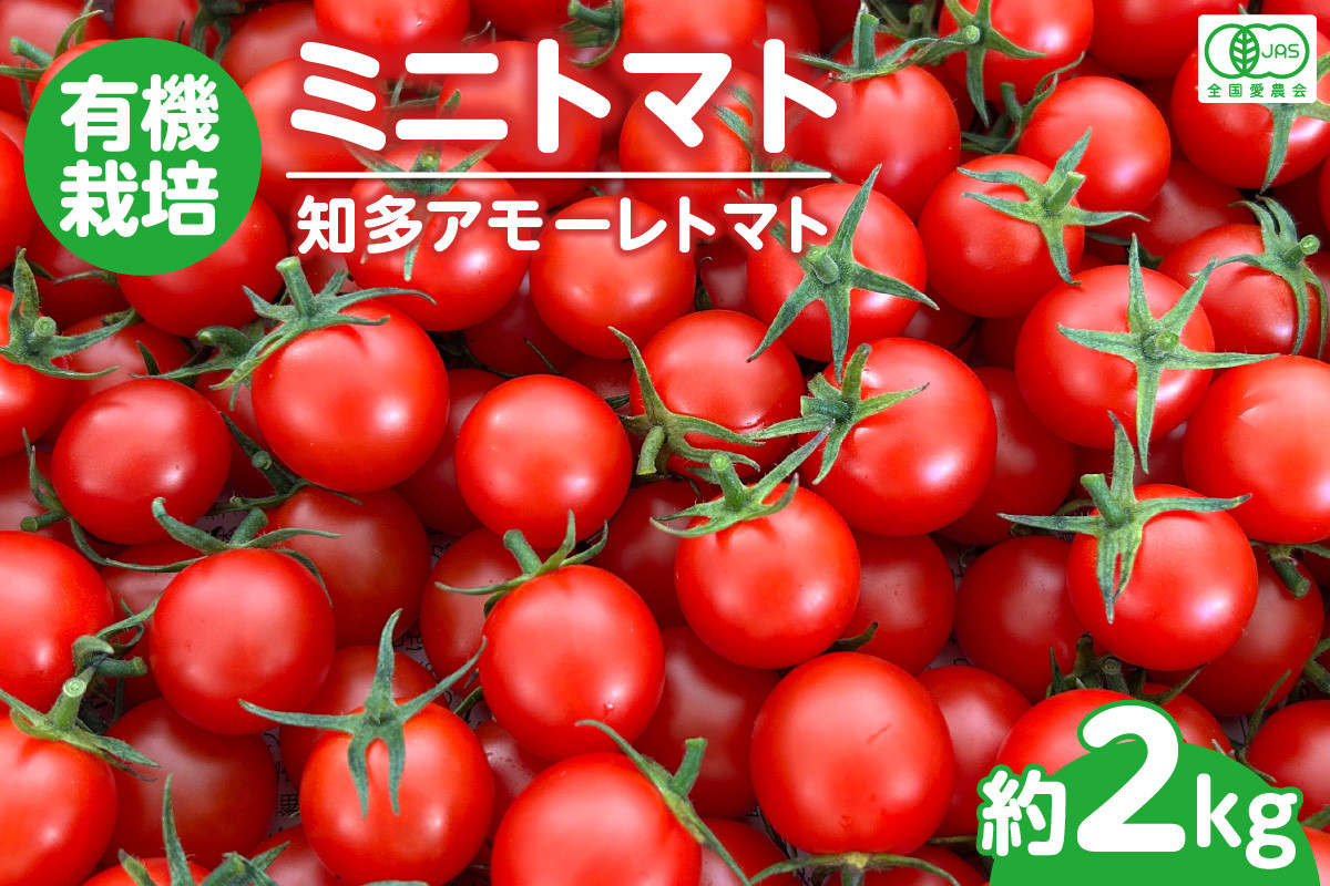 
No.193 有機栽培ミニトマト　知多アモーレトマト　約2kg ／ とまと 野菜 高糖度 愛知県 特産品
