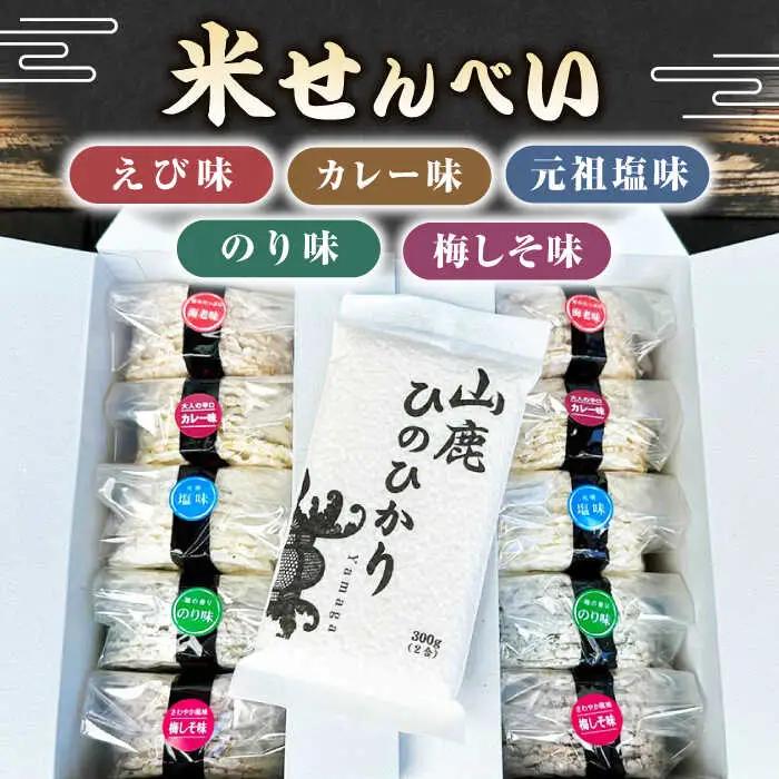 【6回定期便】【おつまみにも♪】米せんべい（えび味、カレー味、元祖塩味、のり味、梅しそ味）&amp; ヒノヒカリ【せんべい工房】[ZBQ015]