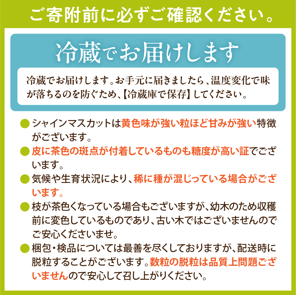 【令和8年産先行受付】 東根市産シャインマスカット 約700g(1房入) ベジフルひがしね 山形県 東根市 hi104-001