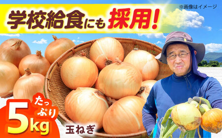 【7月以降発送予定】玉ねぎ 5kg [AOCS027]