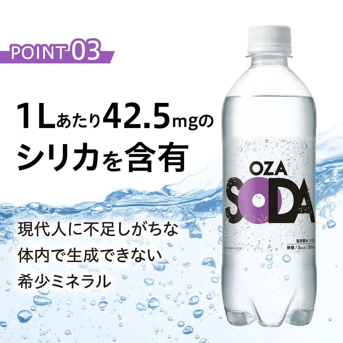 強炭酸水 OZASODA 500ml×24本 ARFL001 炭酸