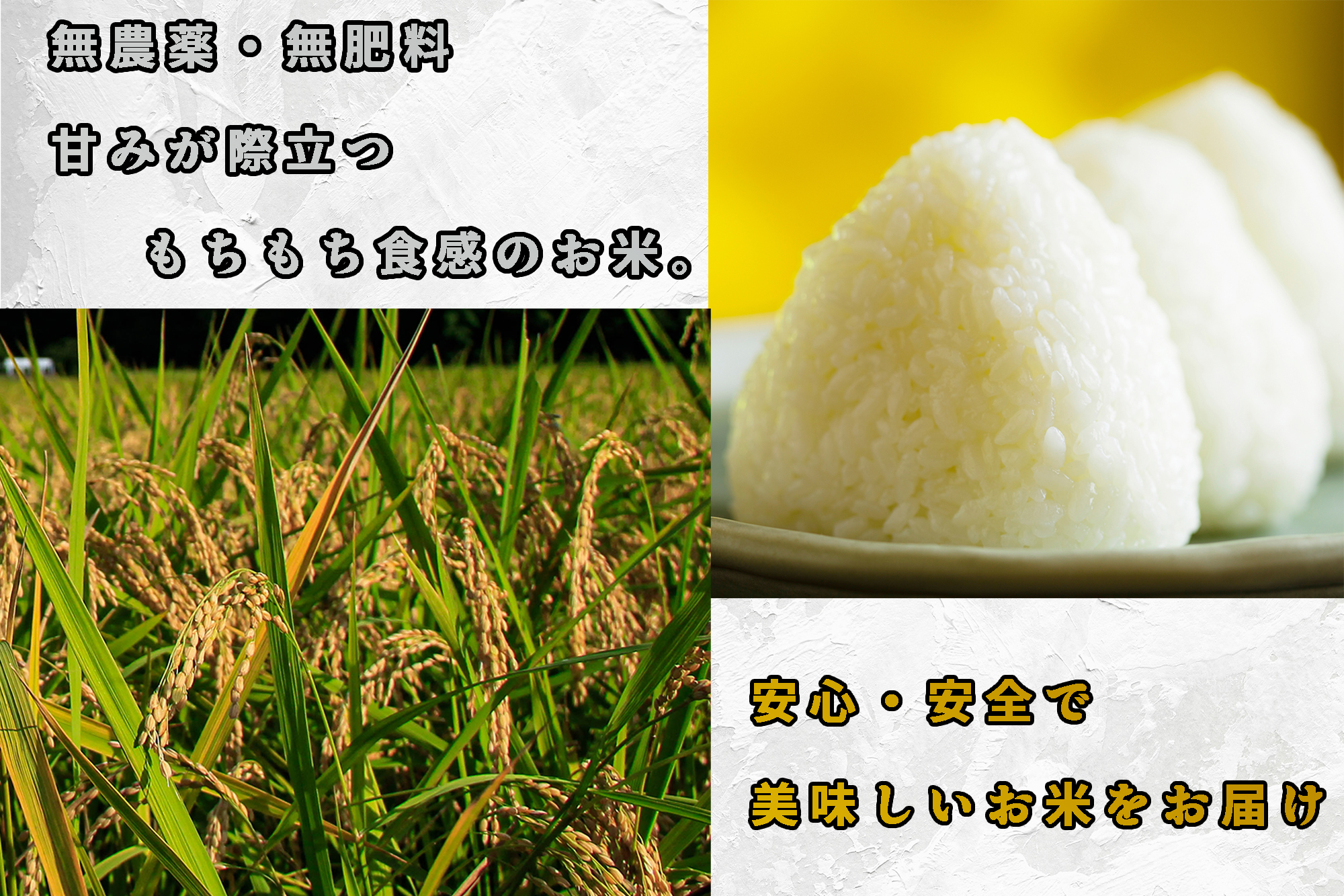CB-002_合鴨農法のお米「ゆく鴨米」（ミルキークイーン）2,700ｇ～安心･安全なお米を行橋市からお届け