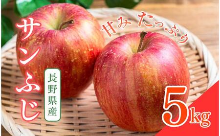 【寄附額改定】【2026年産・先行予約】サンふじ　5kg　りんご リンゴ 林檎 果物 フルーツ 長野