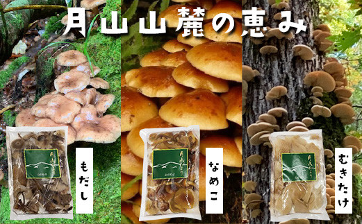 
FYN9-135【山菜ときのこの里西川町】天然きのこ水煮3種セット
