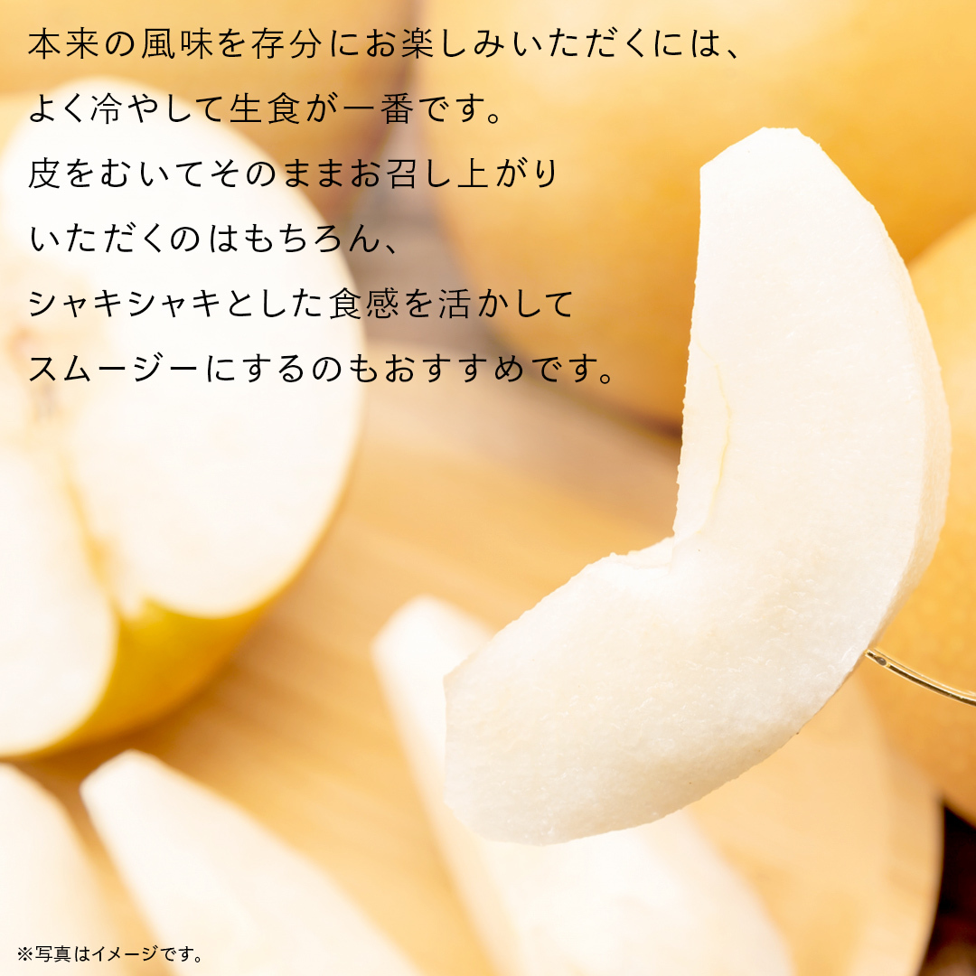 にっこり 梨 5kg （7～10玉）【2026年10月より発送開始】（茨城県共通返礼品 [梨]：大子町産） なし 旬 お取り寄せ フルーツ 甘い ジューシー 和梨 時期 [FC09-NT]_イメージ3