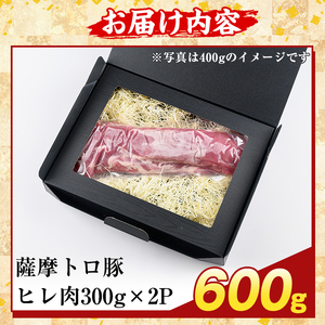 K-486-B 鹿児島県産 薩摩トロ豚 ヒレ肉(計600g)【ふるさと産直バザール】霧島市 ヒレ肉 国産 鹿児島県産 肉 精肉