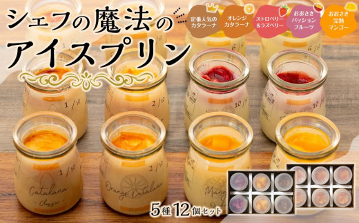 【テレビで取り上げられました】魔法のアイスプリン 12個セット 地元で愛される洋食屋さんのデザートスペシャルセット 鹿児島県 大崎町 プリン ぷりん プリン ぷりん　