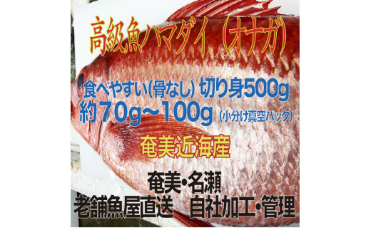 高級魚「ハマダイ（オナガ）」切り身 500g（甘塩）奄美大島老舗鮮魚店が加工製造　A128-004