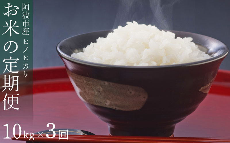 定期便 3回 米 コシヒカリ 10kg 令和8年産 米 こめ ご飯 ごはん おにぎり 白米 精米 卵かけご飯 食品 ギフト 贈答 プレゼント お取り寄せ グルメ 送料無料 徳島県 阿波市 栗栖農園