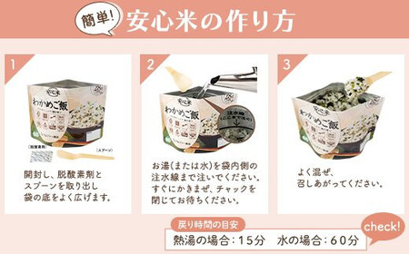 非常食 3日分【安心米9食セット】防災 備蓄 長期保存 アルファ化米/食物アレルギー対応/A４サイズ