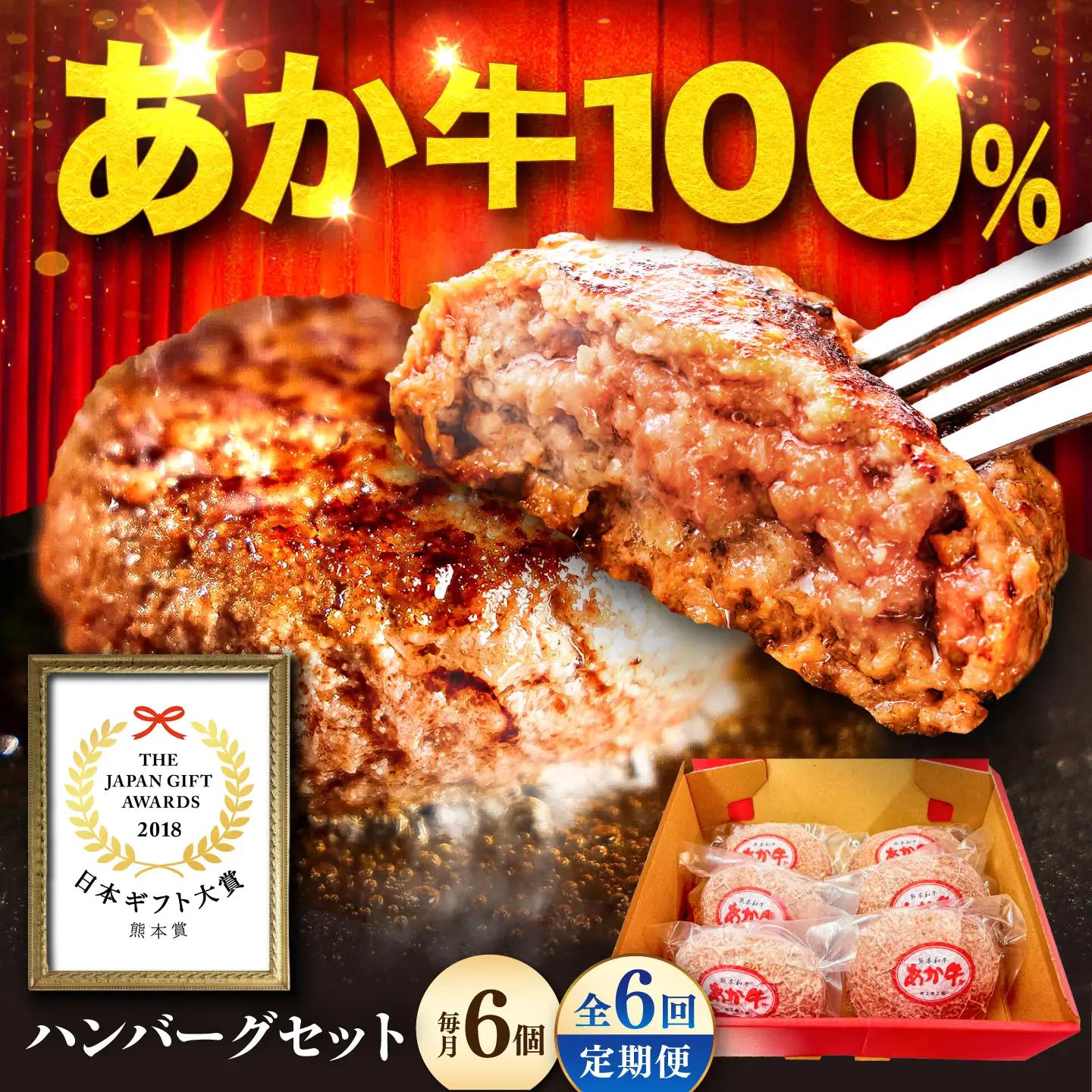 全6回定期便 熊本和牛 あか牛 ハンバーグ セット 約120g×6個 BHAS034 ハンバーグ