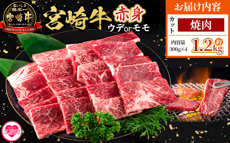 ＜宮崎牛赤身【焼肉】（ウデorモモ）1.2kg＞【10月発送】脂控えめ ヘルシー あっさり うで もも 炒め物 肉料理 ご馳走 国産 ブランド牛肉 黒毛和牛【MI684-my-oct】【ミヤチク】
