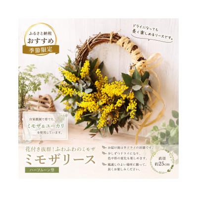 ふるさと納税 倉敷市 「春を届ける|フレッシュミモザとユーカリのハーフムーン M【2027年2月下旬-3月下旬 発送予定】 |  | 01