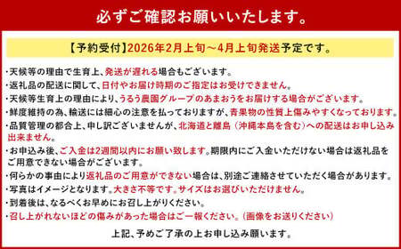 【アフター保証】贈答用 あまおう 約400g【2026年2月上旬～2026年4月上旬発送予定】 いちご イチゴ 苺 化粧箱入り