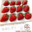 【ふるさと納税】【本州限定】滋賀県オリジナルいちご「みおしずく」※12月中旬より順次配送　【 果物 フルーツ デザート おやつ 甘い 酸味 とろける やわらかい 】　お届け：12月下旬～順次発送