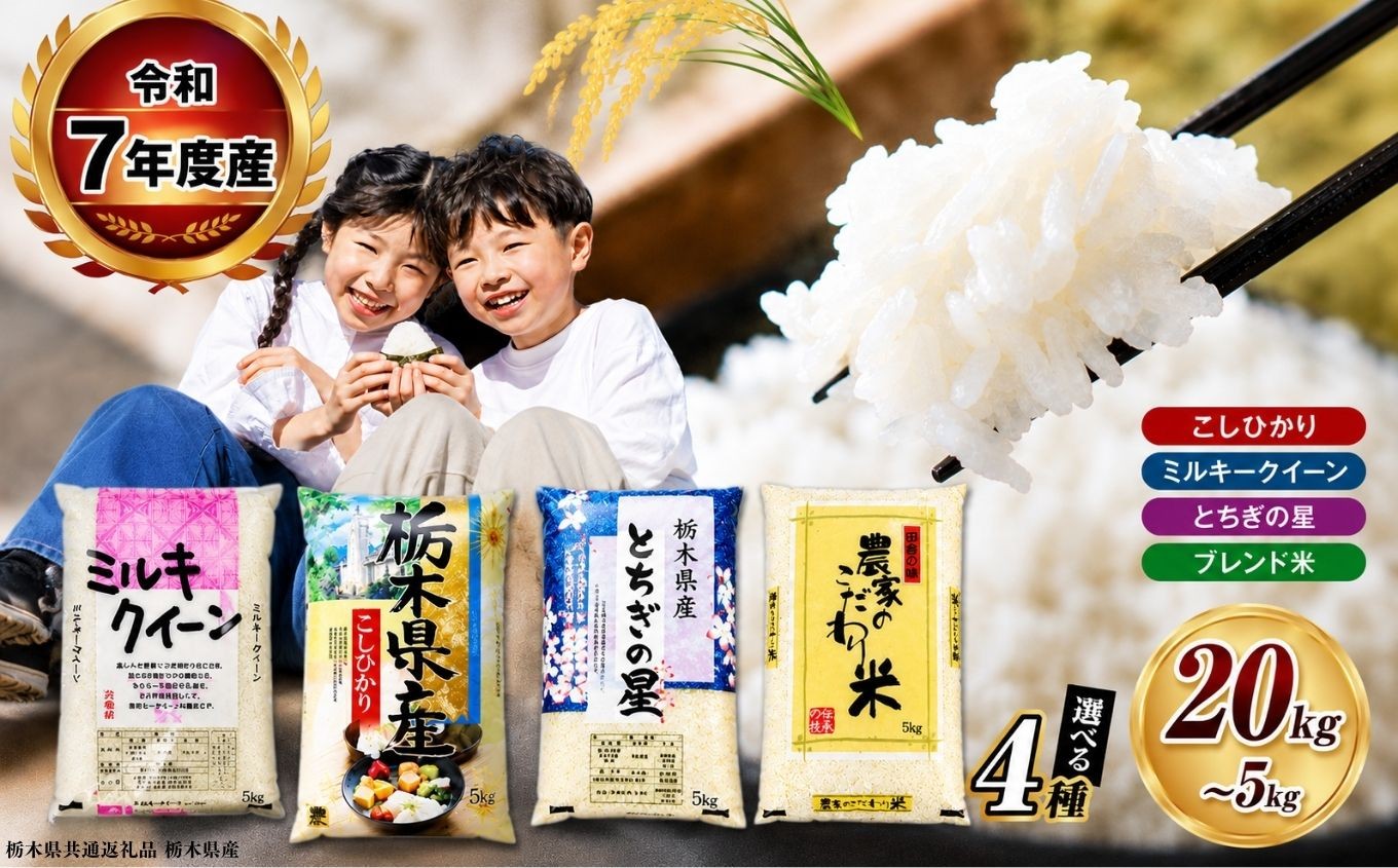 
                  【栃木県共通返礼品】　令和7年度産 栃木県産 こしひかり ミルキークイーン とちぎの星  ブレンド米 5kg 10kg 20kg  |  ふるさと 納税 コシヒカリ お米 精米 白米 玄米 大粒 小粒 共通返礼品 送料無料 那珂川町 栃木県
                