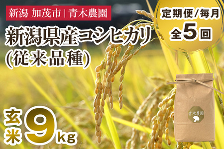 【令和7年産新米先行予約】【定期便5ヶ月毎月お届け】新潟県産 コシヒカリ（従来品種）玄米9kg（3kg×3袋）《10月上旬から順次発送》 玄米 白米 きのこ農家ならではの有機質肥料 お米 新潟産 コシヒカリ 加茂市 青木農園