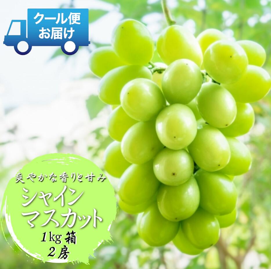 【ふるさと納税】 【先行予約】安心のクール便発送 収穫当日に産地直送 シャインマスカット 1kg（2房） ふるさと納税 おすすめ 山梨県 南アルプス市 送料無料 ALPDB001