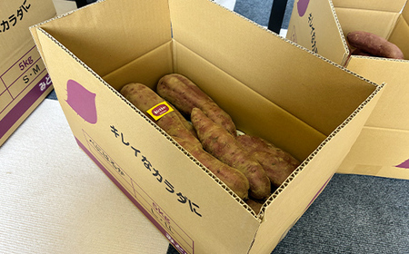甘さ引き出す 熟成紅はるか 5kg さつまいも L～LLサイズ サツマイモ さつま芋 甘い おやつ 食品  F21T-472