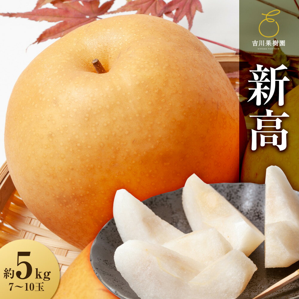 【ふるさと納税】【先行予約】新高　約5kg（7～10玉）9月下旬～順次発送【吉川果樹園】 | フルーツ 果物 くだもの 食品 人気 おすすめ 送料無料