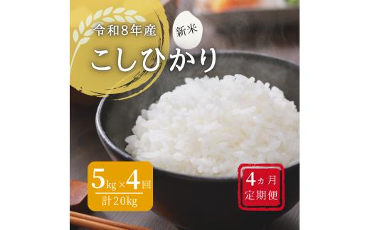 150259【令和8年産／お米定期便／4ヵ月】しまね川本 こしひかり 5kg (計20kg）