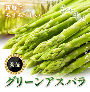 アスパラガス 秀品 アスパラ グリーンアスパラ 2L サイズ 1kg (500g×2) 門別町農業協同組合(生活資材課)《4月上旬-5月末頃出荷》北海道 日高町 送料無料 春野菜 春 朝採り 朝採れ 