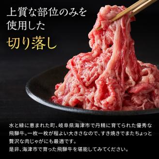 岐阜県海津市産 飛騨牛　すき焼き用　切り落し　500g