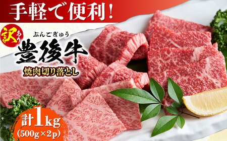 【訳あり】おおいた豊後牛 焼肉 切り落とし 1kg(500g×2P) 日田市 / 株式会社MEAT PLUS　牛 うし 黒毛和牛 和牛 豊後牛[AREI033]