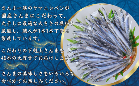 さんま 丸干 40尾 下剋上さんま 冷凍 サンマ 秋刀魚 正規品 無添加 大容量 国産さんま 丸干し 旬 季節の味覚 銚子 海の幸 海鮮 干物 新鮮 贈り物 グルメ おかず おつまみ ビール 日本酒 