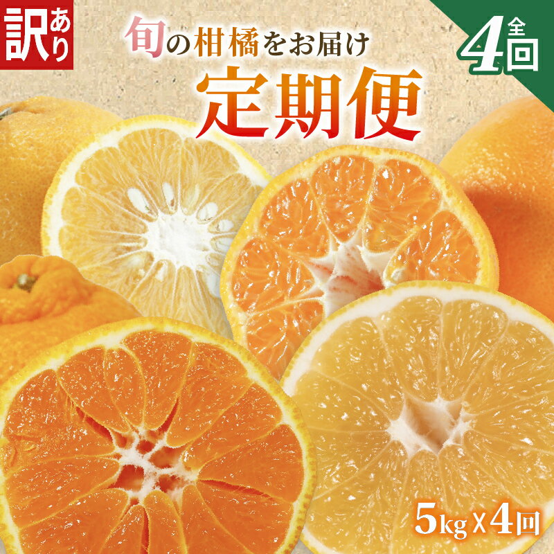 【ふるさと納税】 定期便 4回 訳あり 季節の柑橘4種 各5kg 合計 20kg ポンカン 不知火 甘夏 河内晩柑 柑橘 みかん 果物 フルーツ ゼリー アイス ジュース 定期便 フルーツ定期便 和製 グレープフルーツ 夏文旦 ぽんかん 旬の果物 旬のフルーツ 愛南町 愛媛県 愛南フルーツ