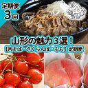 【ふるさと納税】【定期便3回】山形の魅力3選！【肉そば・さくらんぼ・もも】 FY23-702