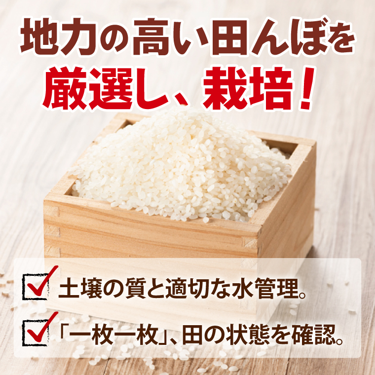 【2ヶ月定期便】令和7年産 茨城県産コシヒカリ　精米　10kg（5kg×2）｜ お米 米 ごはん 阿見町 茨城県 茨城県産 茨城県産米（85-18）