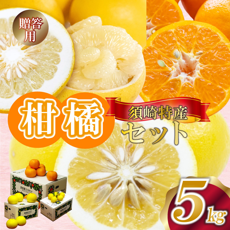 
            定期便 3回 限定50セット 須崎特産柑橘 贈答用 計 15kg 箱セット 各 5kg ポンカン 土佐文旦 小夏 ぽんかん 土佐 文旦 ぶんたん ブンタン 小夏 こなつ 時期人気 旬 柑橘 フルーツ 果物 高知 須崎 KJS5000
          