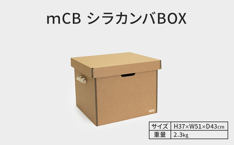 ｍCB シラカンバ BOX 21.7インチ _No.1604377