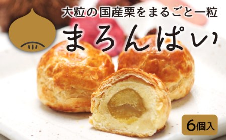 お菓子 和菓子 スイーツ マロン パイ 6個 栗 くり ギフト 贈答  母の日 敬老の日
