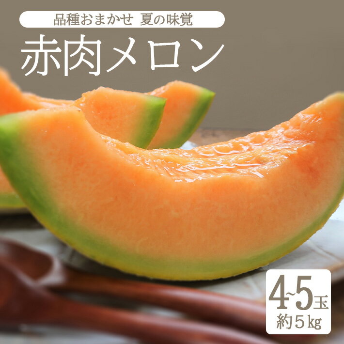 【ふるさと納税】赤肉メロン 品種おまかせ つるなし 4～5玉 約5kg 山形県酒田産 6月下旬〜7月下旬頃お届け ※着日指定不可 フルーツ 果物 夏 オレンジ 庄内砂丘 東北 山形県 酒田市 紅花メロン ルピアレッド クインシーメロン レノン つるなし